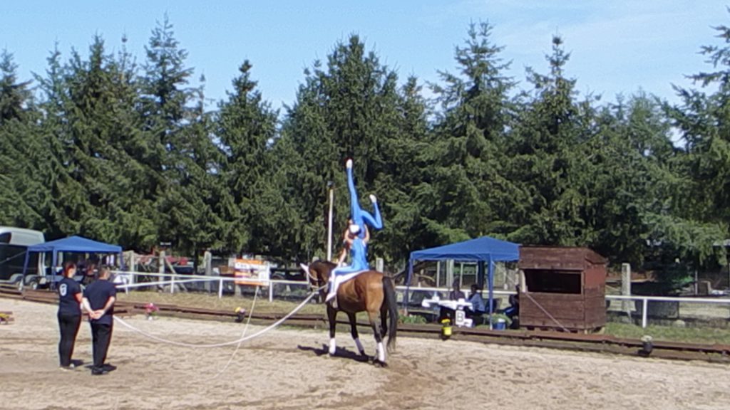 02_dscf10281